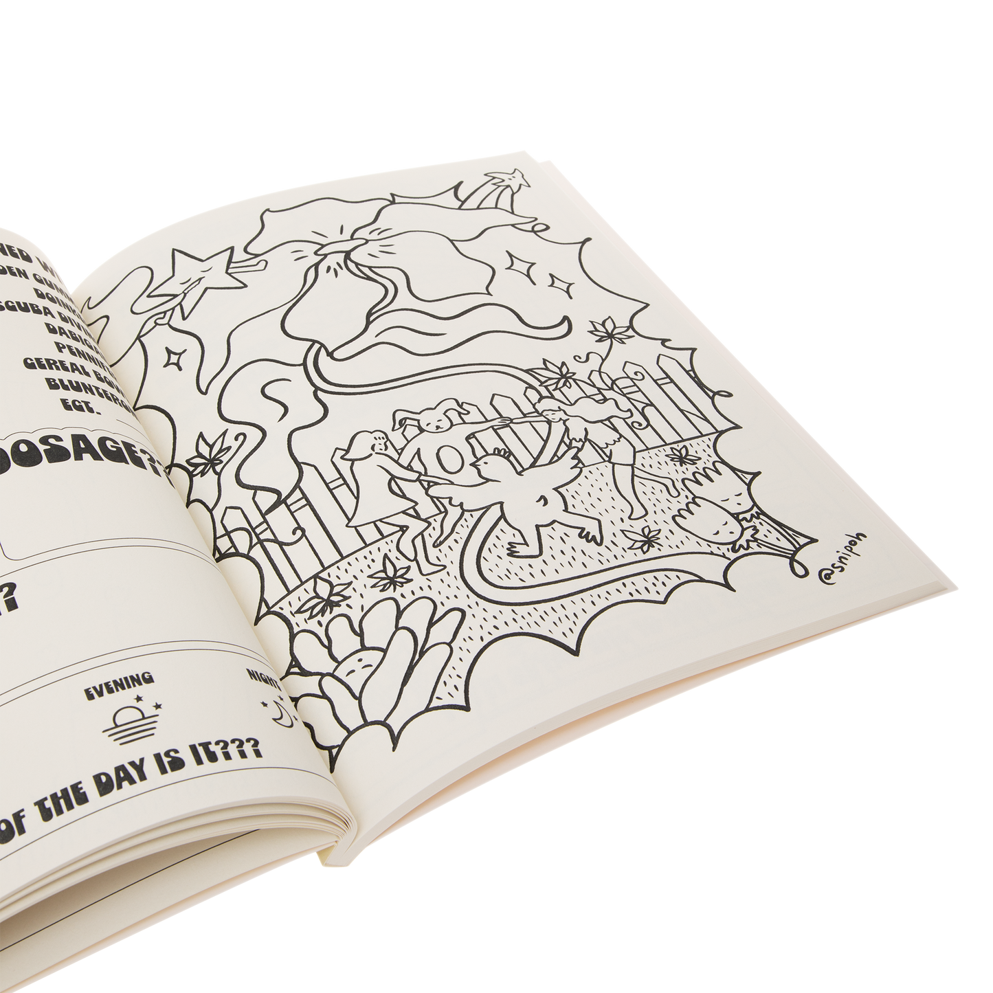 GARDENER'S COLORING BOOK